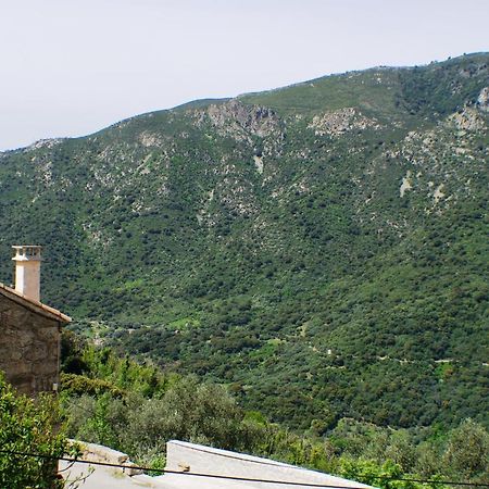 Studio Le Petit Nid D'Amour Meuble Tourisme 3 Etoiles Poggio Santa-Lucia-di-Tallano Екстер'єр фото
