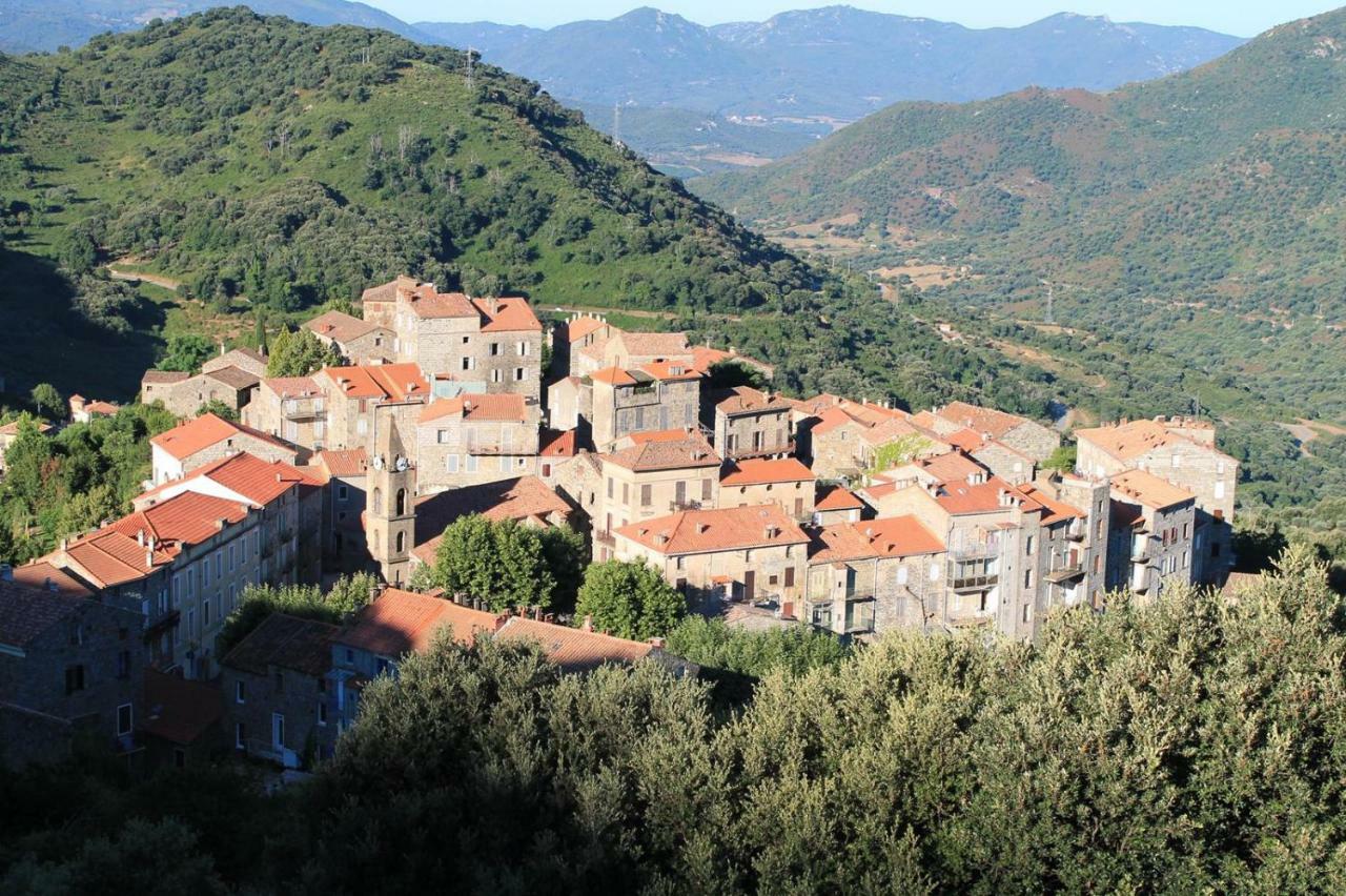 Studio Le Petit Nid D'Amour Meuble Tourisme 3 Etoiles Poggio Santa-Lucia-di-Tallano Екстер'єр фото