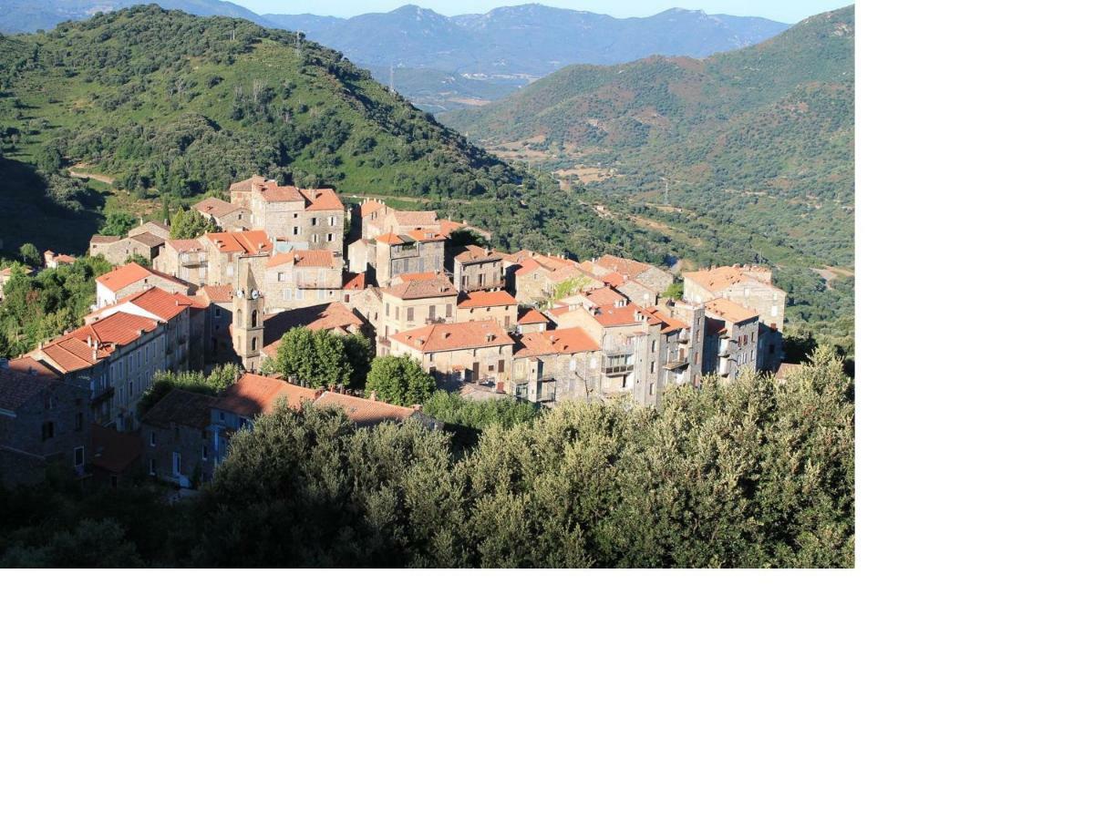 Studio Le Petit Nid D'Amour Meuble Tourisme 3 Etoiles Poggio Santa-Lucia-di-Tallano Екстер'єр фото